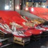 Last fish at the Galata Bridge Fish Market, Istanbul
