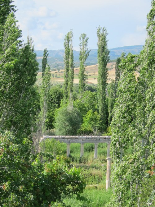 overgrown Agora - Aphrodisias, Turkey
