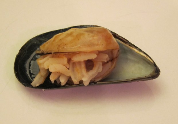 Turkish stuffed mussel receipe