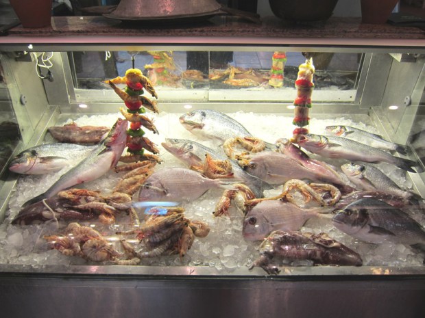 fish case, Bodrum, Turkey fish case, Bodrum, Turkey