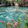 Swimming with columns in the Hierapolis thermal pool, Pamukkale, Turkey