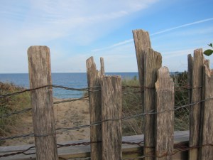 wood fence, Nauset Light Beach, Cape Cod