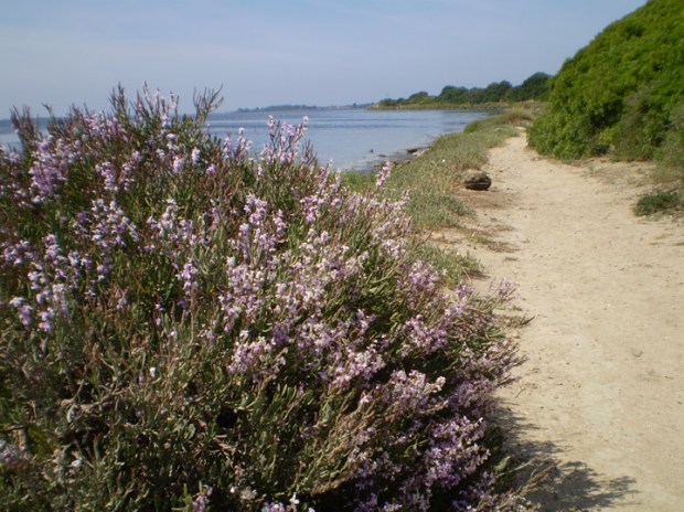 coastline of Mozia, Sicily, Italy