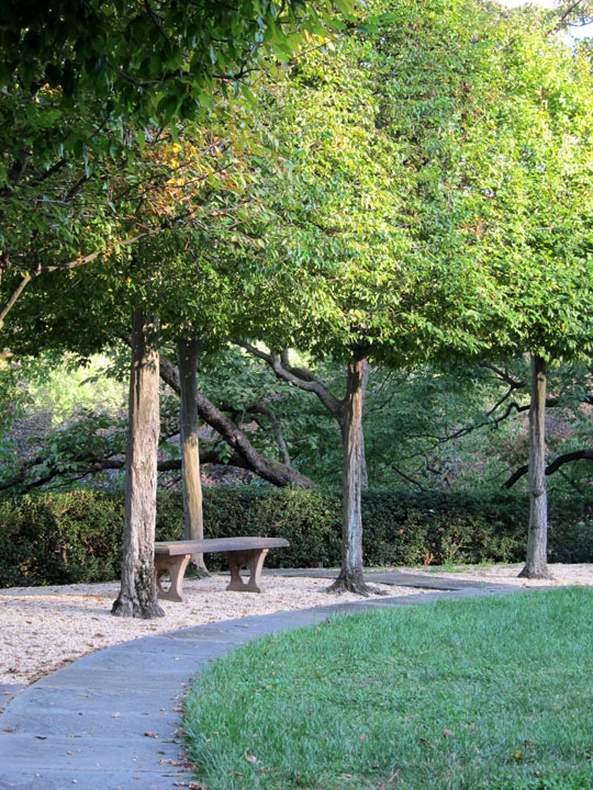 bench, Dumbarton Oaks gardens