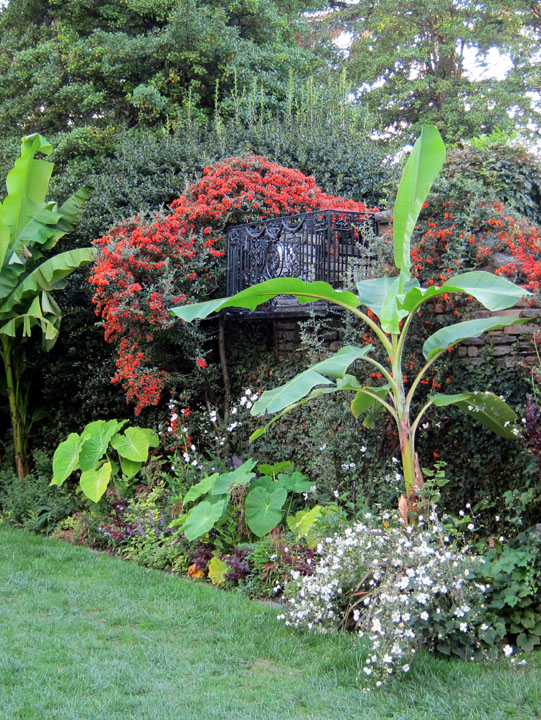 red flowers, Dumbarton Oaks gardens