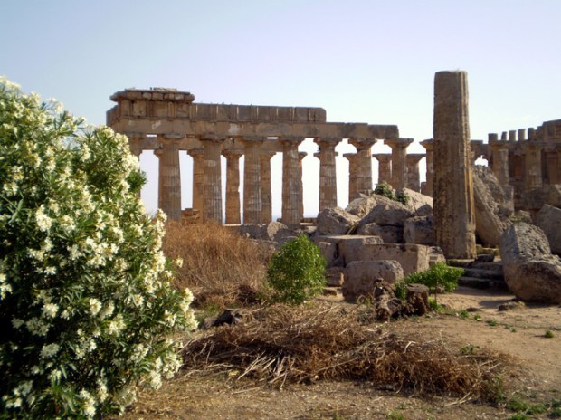 flowers in Agrigento, Sicily