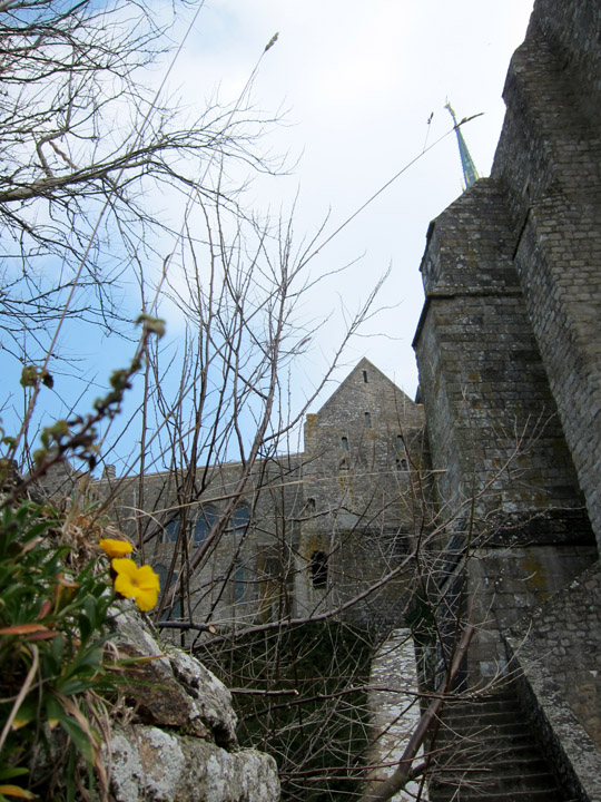Mont Saint-Michel Flower