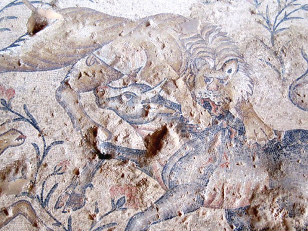 lion and ox, Nile House, Sepphoris