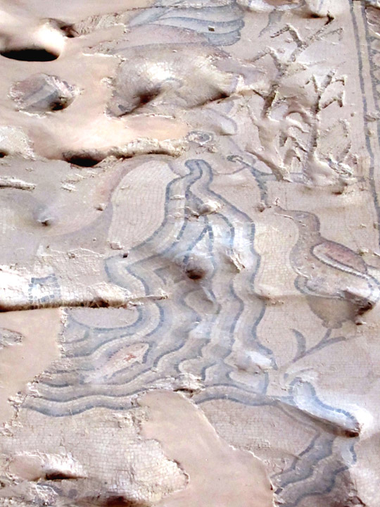 mouth of the nile, Nile House, Sepphoris