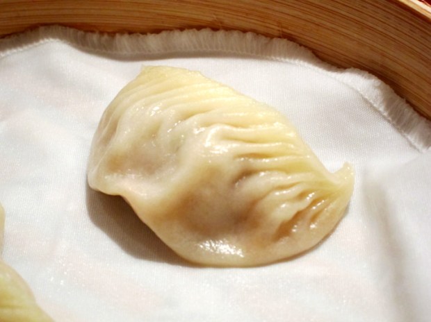 dumpling