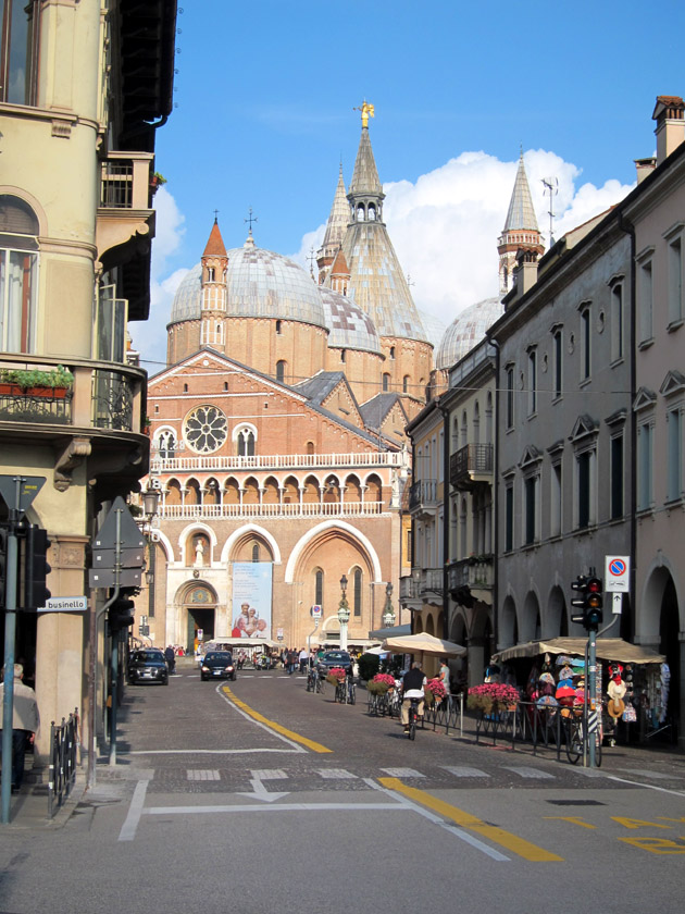 Saint Anthony Cathedral