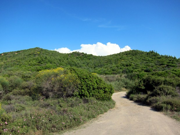 gallipoli battle ridge