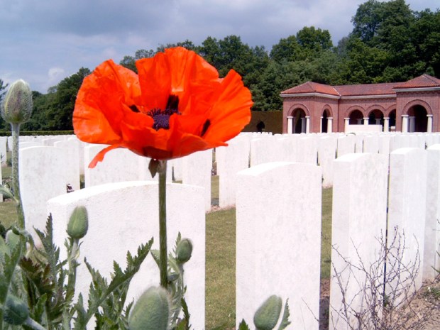 World War I, High Wood cemetery, France