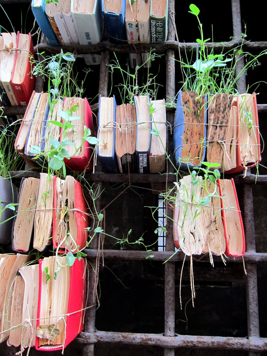 "Germination" by Marisa Merlin, Padua