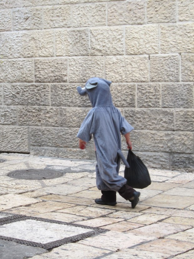 Purim elephant