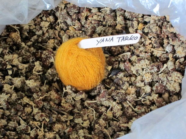 natural yellow dye, Peru